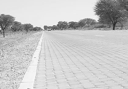 Duerham Road Construction